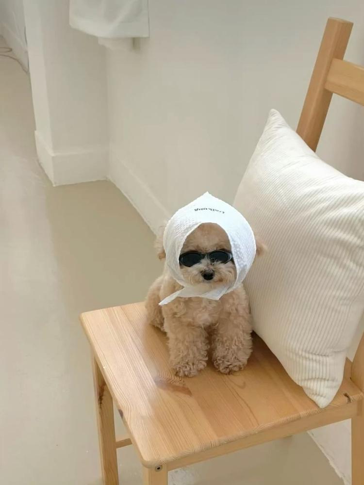 おばけ