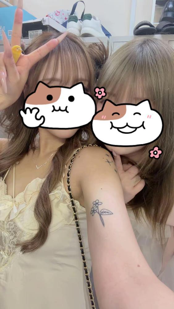 しゅ！