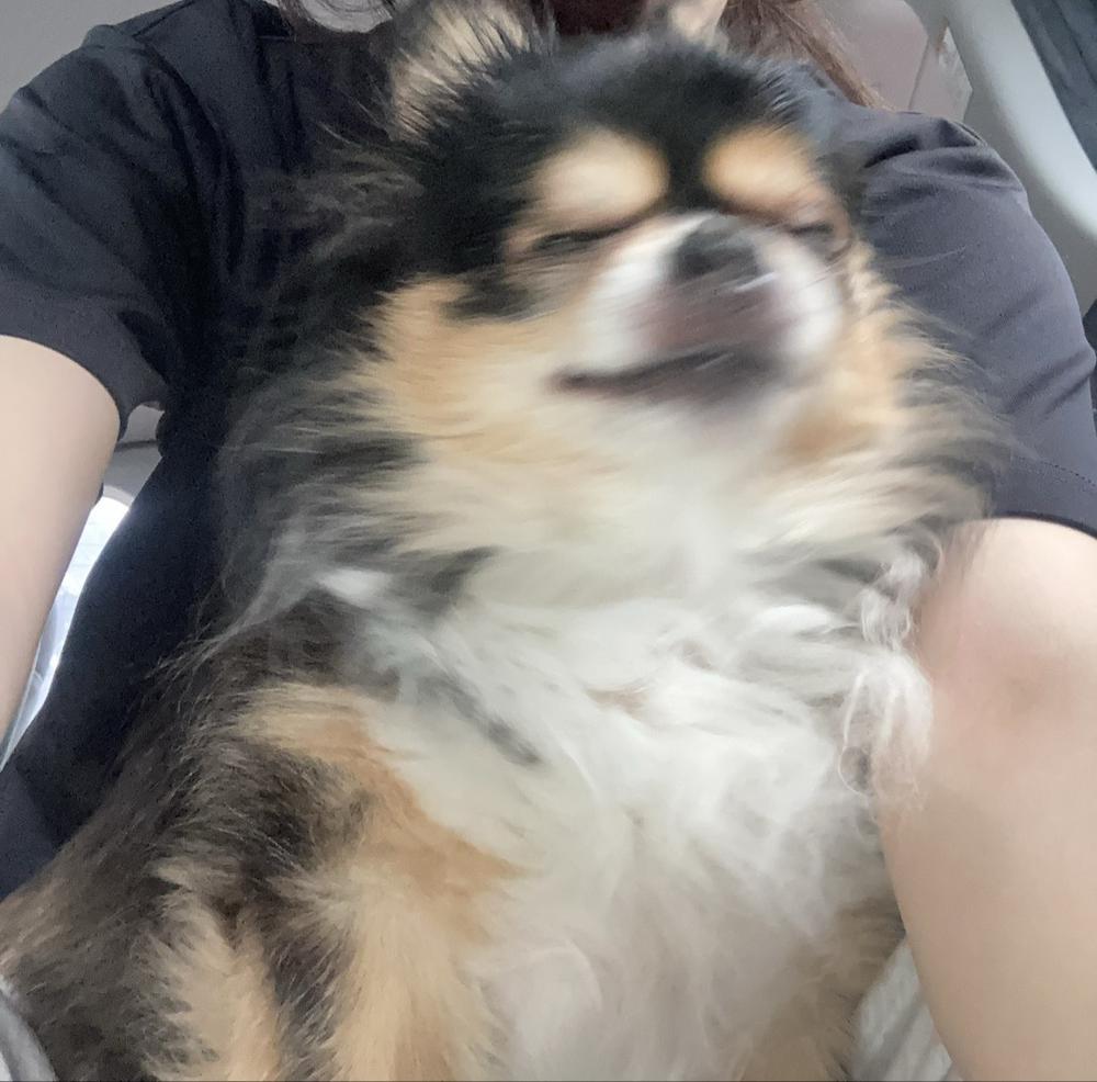 (  ¯꒳​¯ )ᐝ