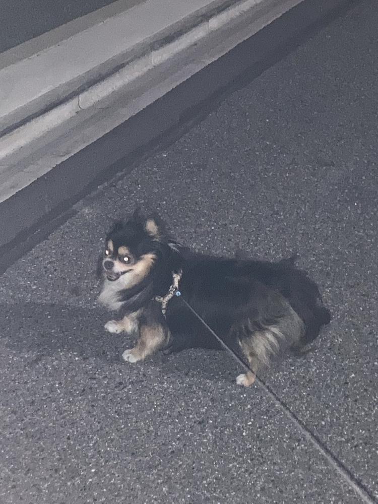 おはよ