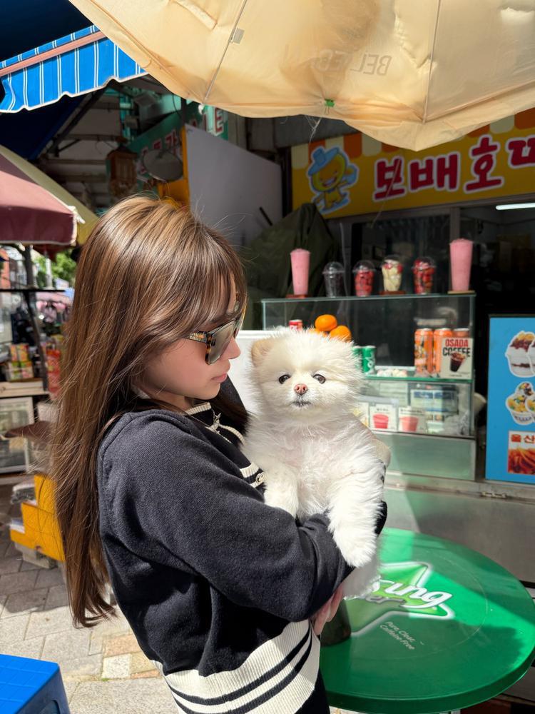 ワンちゃんラブ🫶🏻