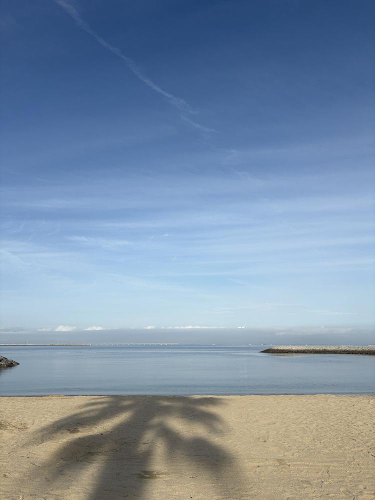 海🌊