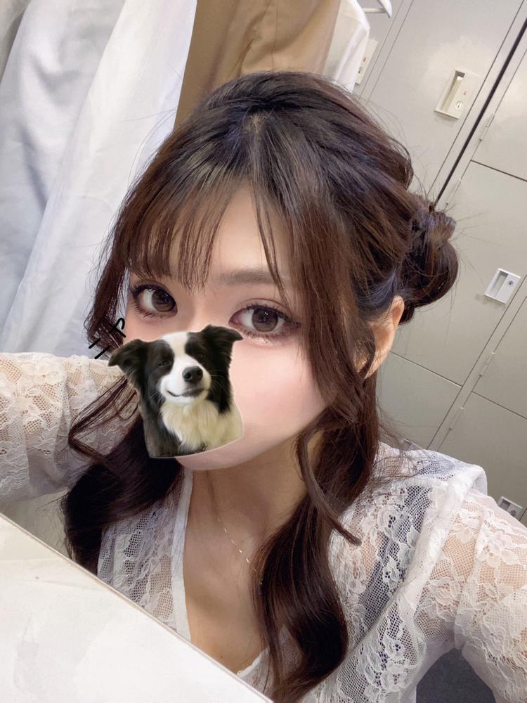 🐏