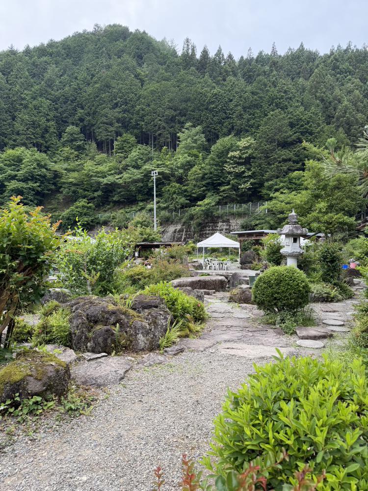 この前自然を感じてきました🌿