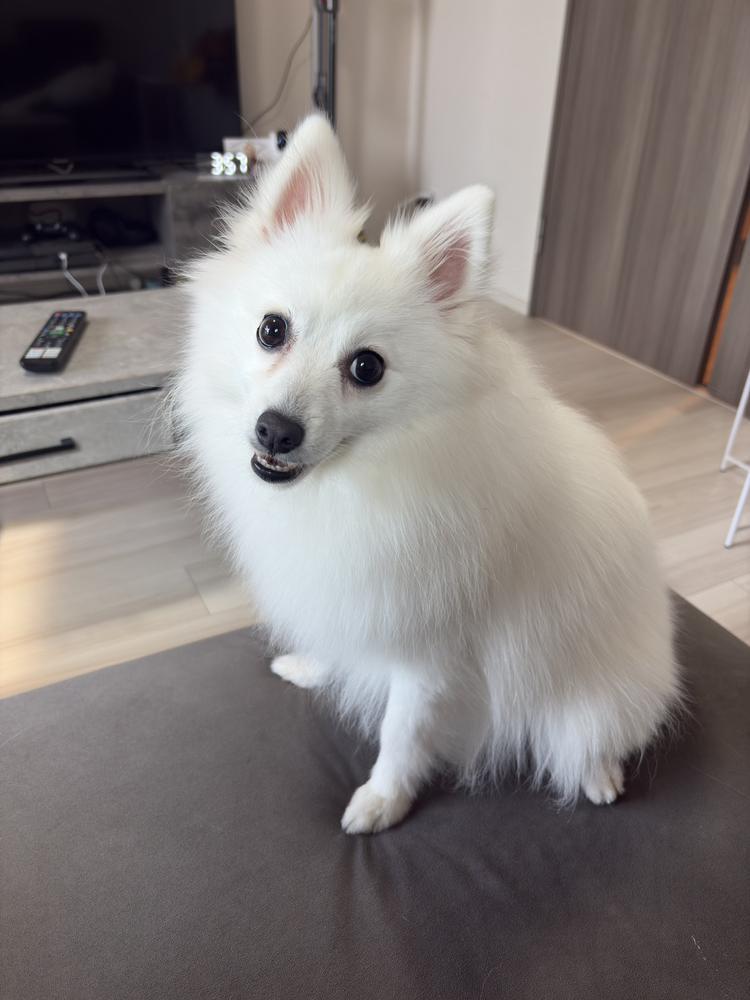 !(´▽｀)