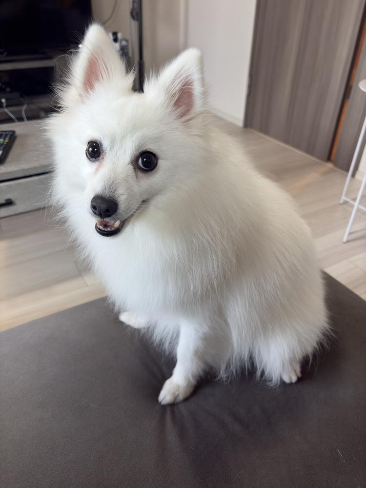 !(´▽｀)