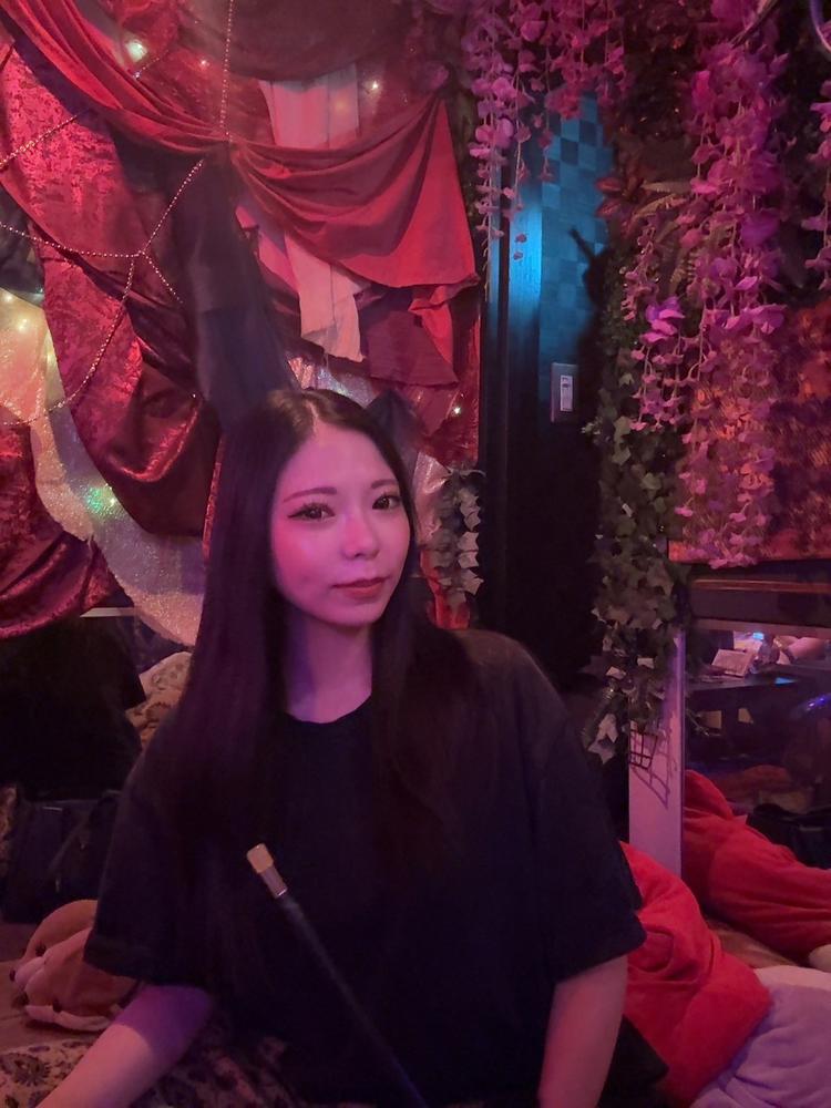 6/6