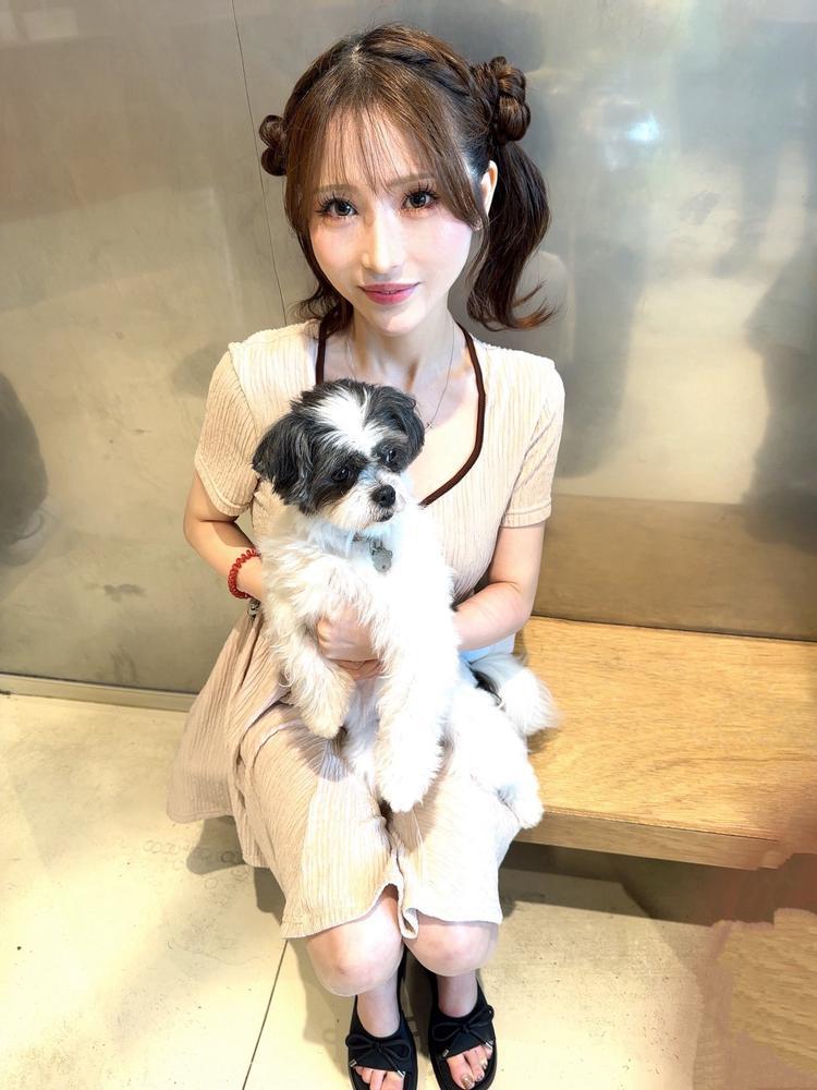 いぬかわいい🐶