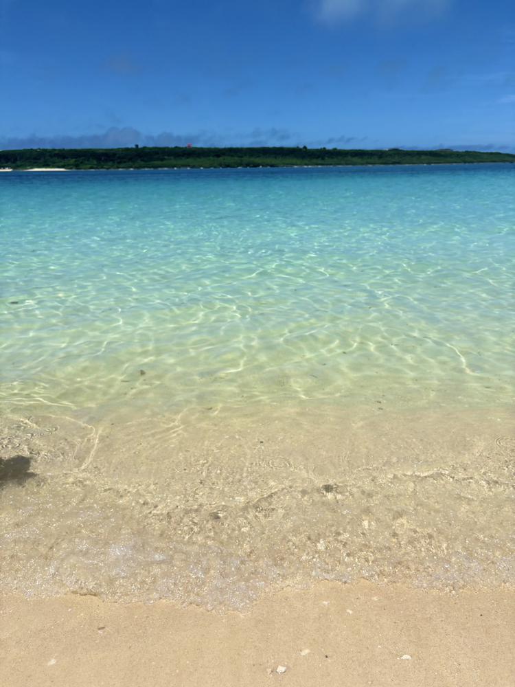 🌺🌴