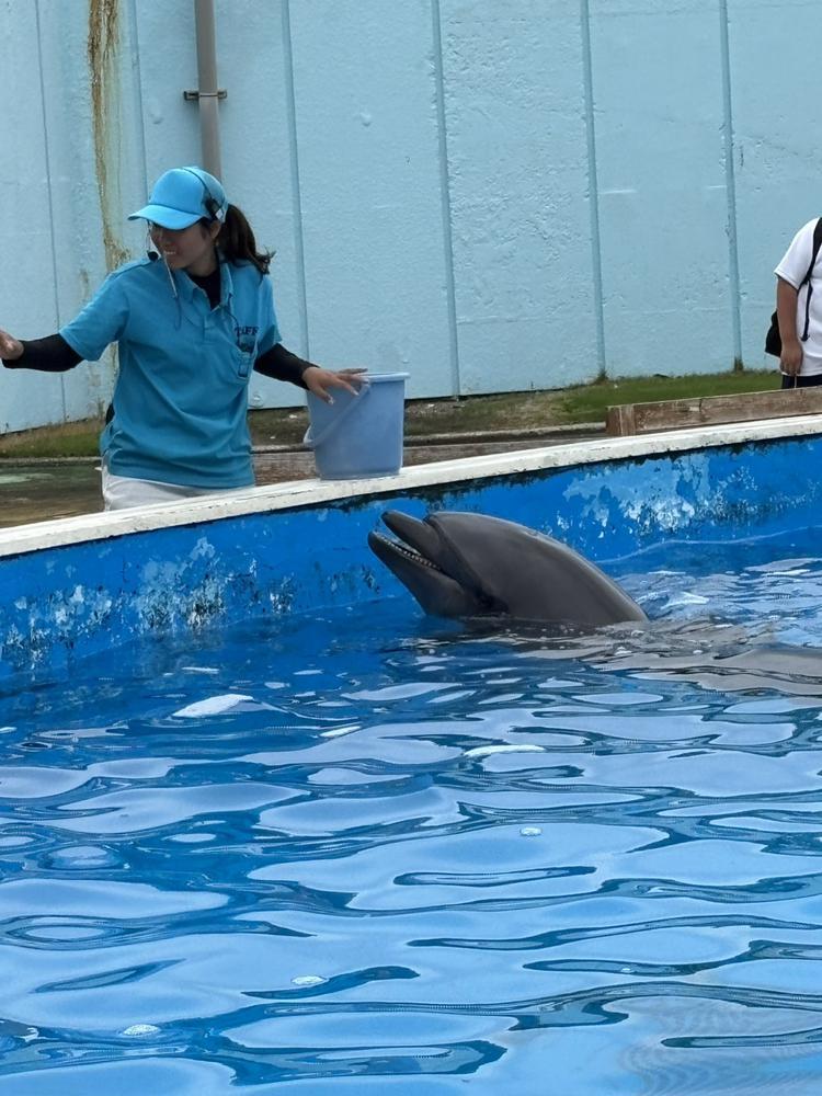 南知多ビーチランド1