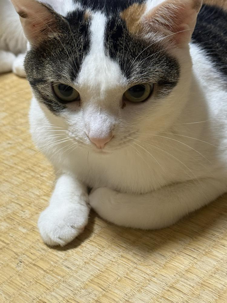 いーちゃん