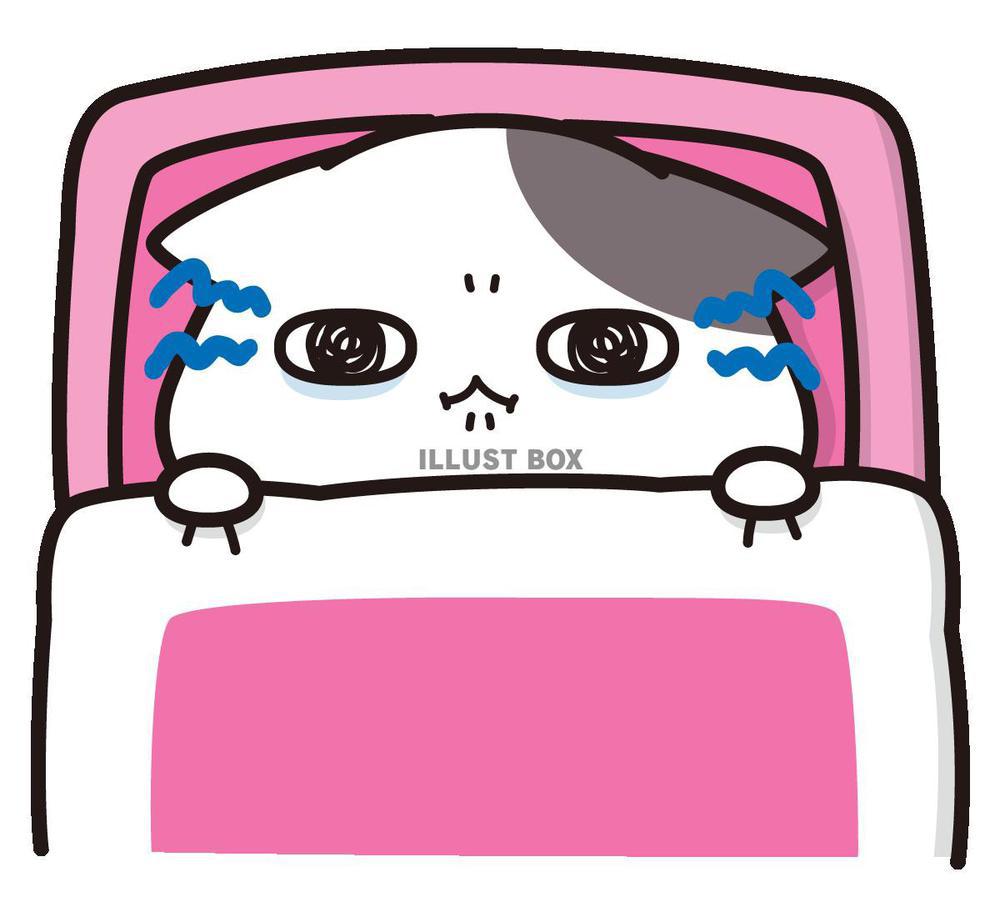 寝れない