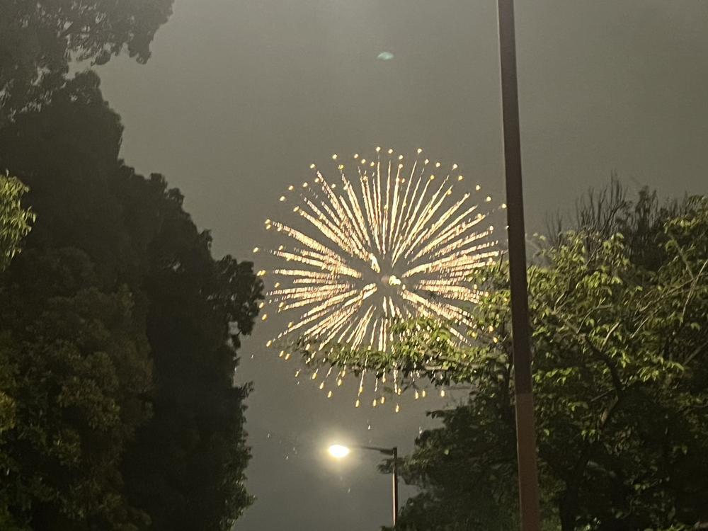 寝れた