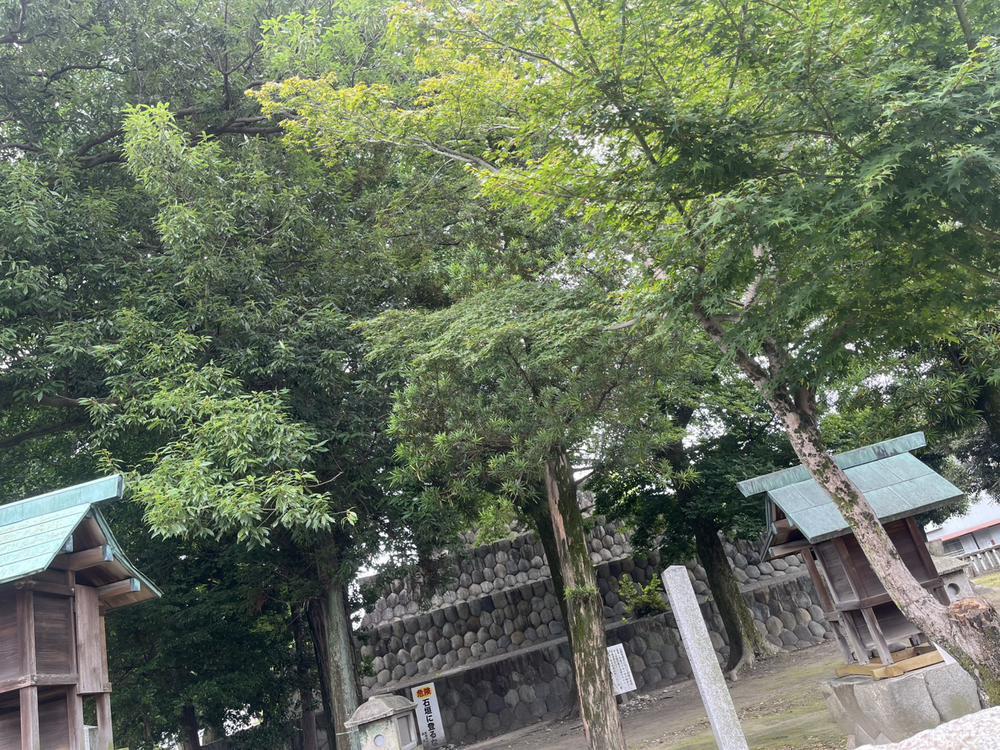 暑い