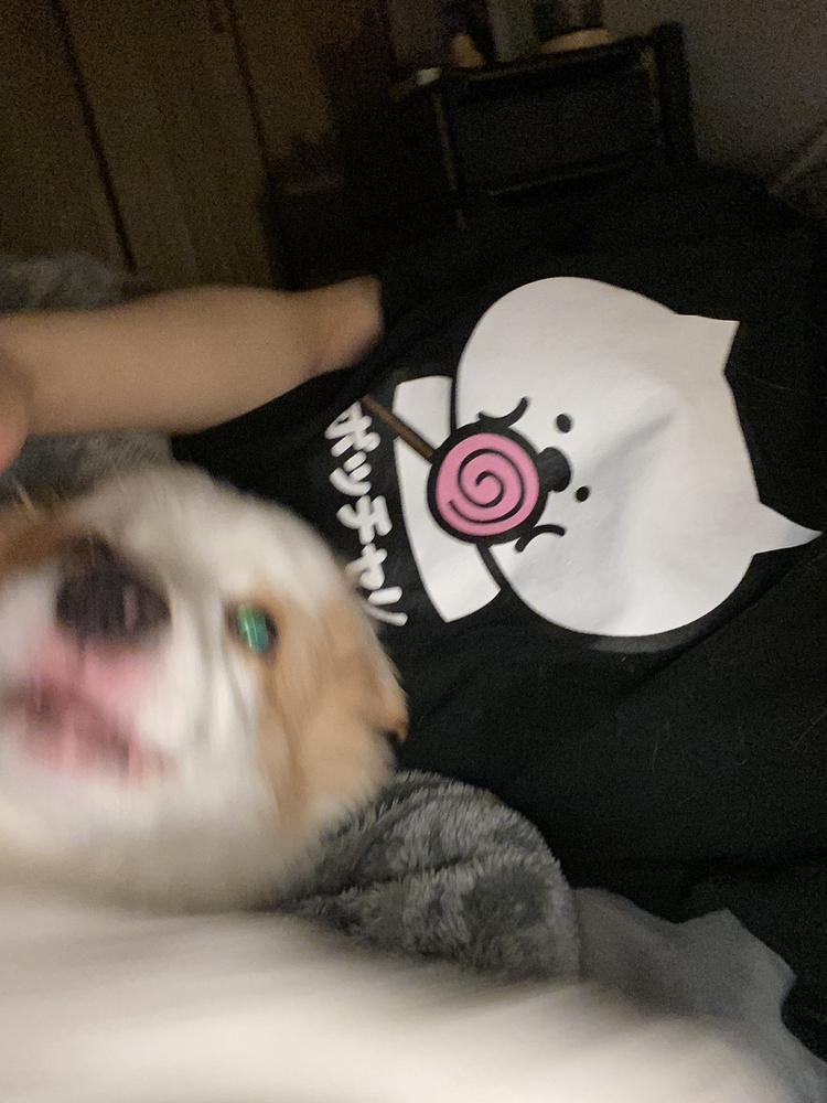 😆
