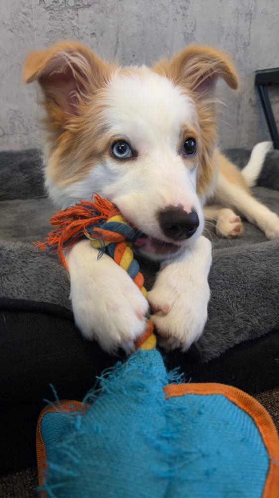 💓