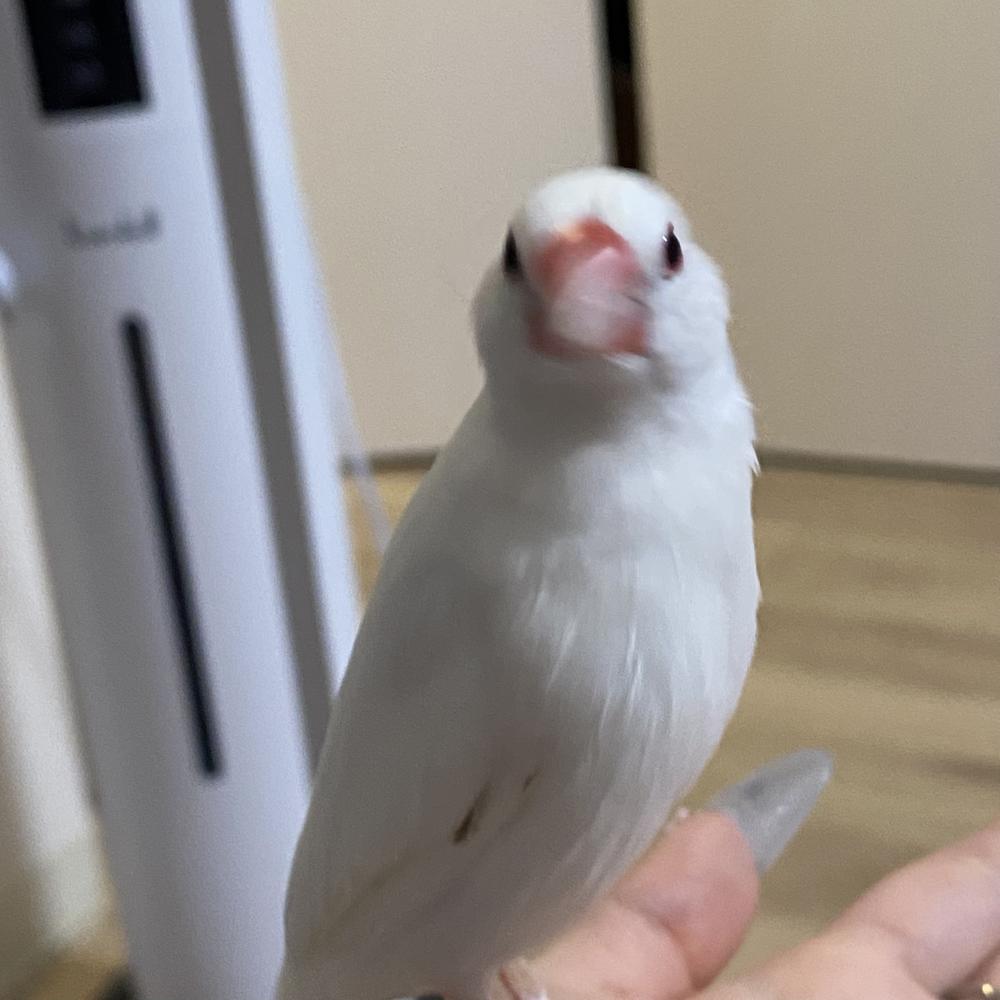 出勤！……のまえに