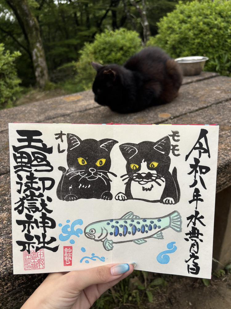 🐈