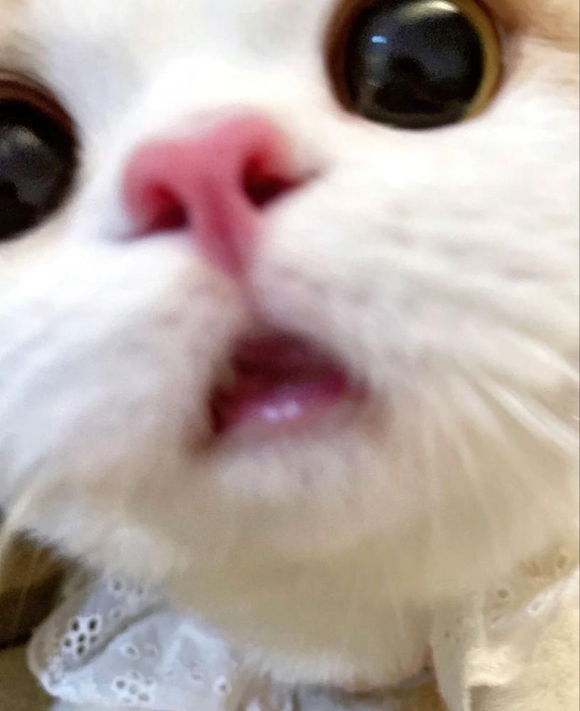 (  '-' )