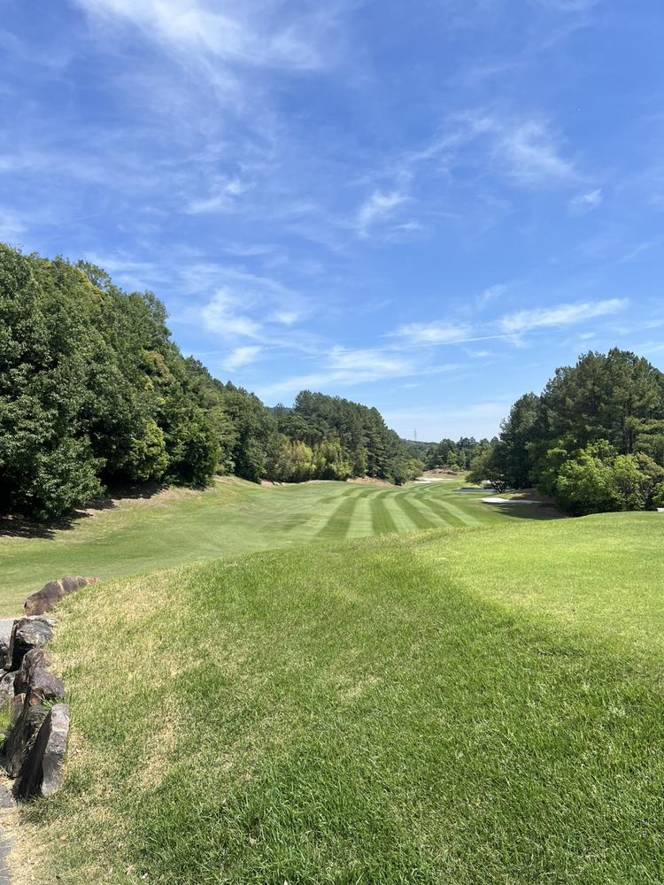 ゴルフ⛳️