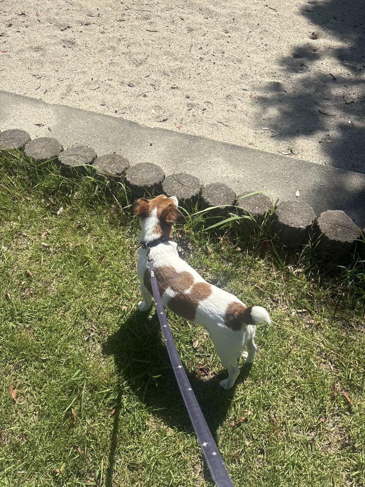 おはよう