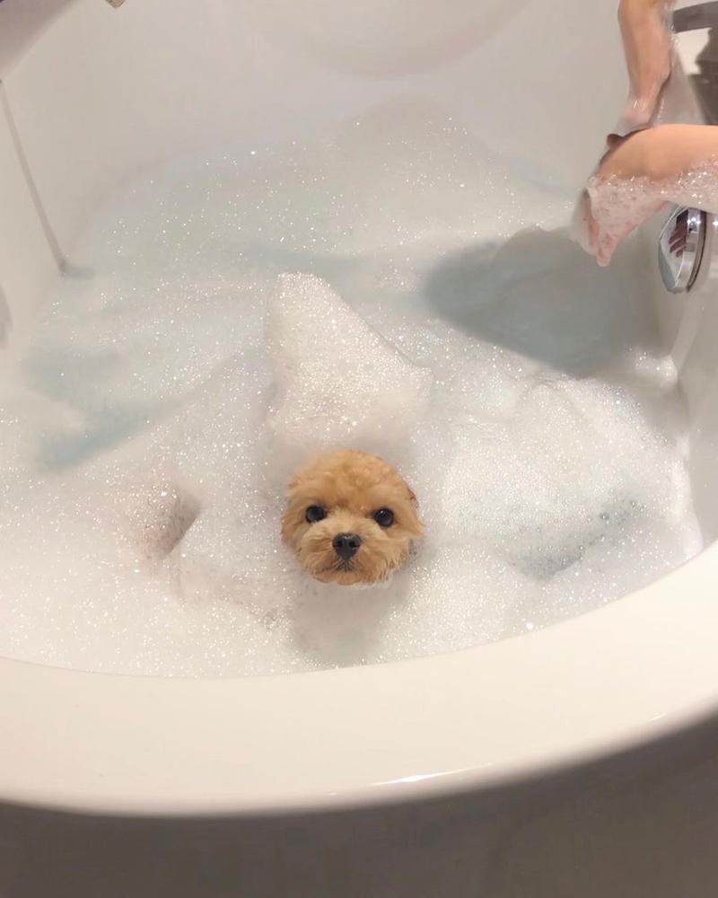 ふう( ´ｰ`)