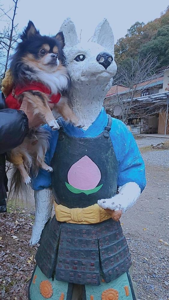 🐶🐶🐶