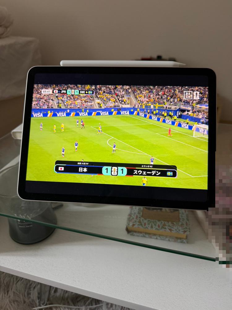 観戦⚽️📣