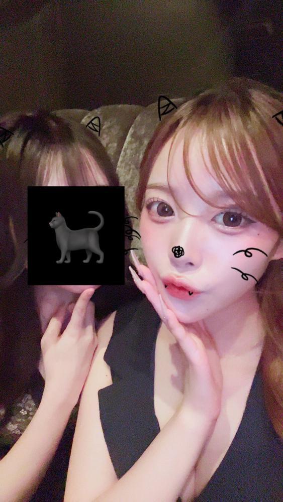出勤です 🐾🐾