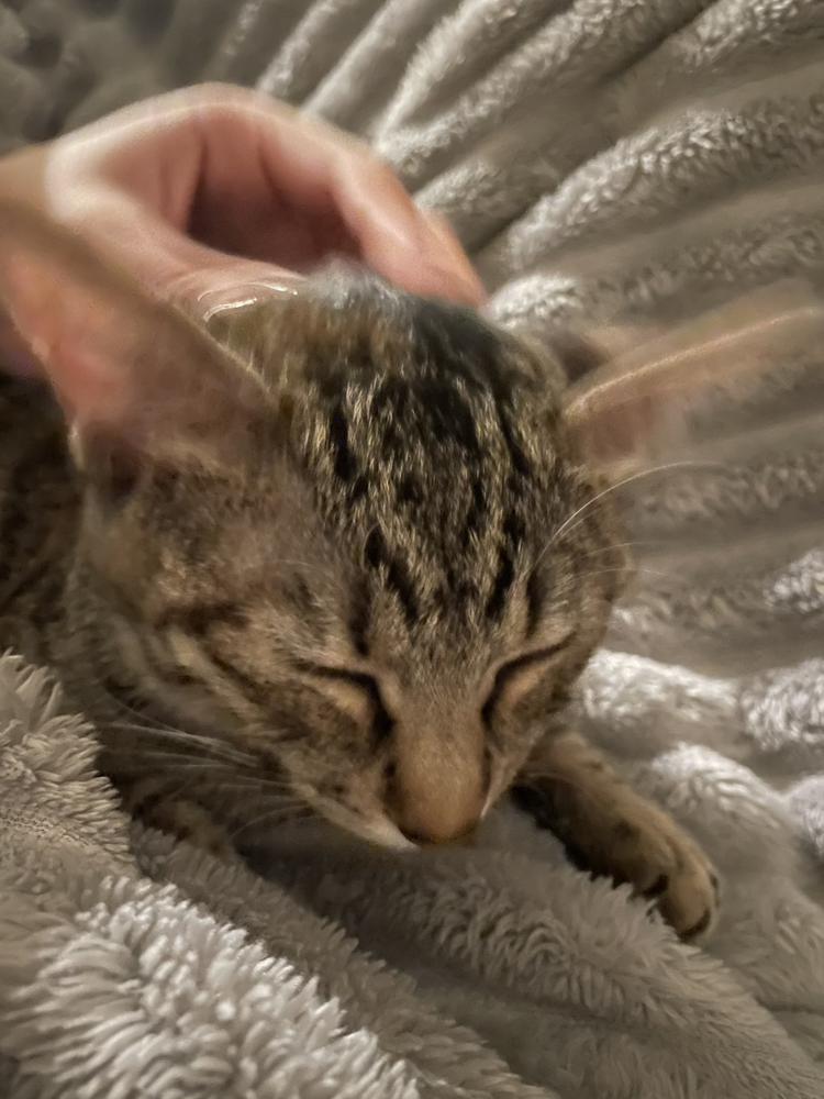 出勤♡