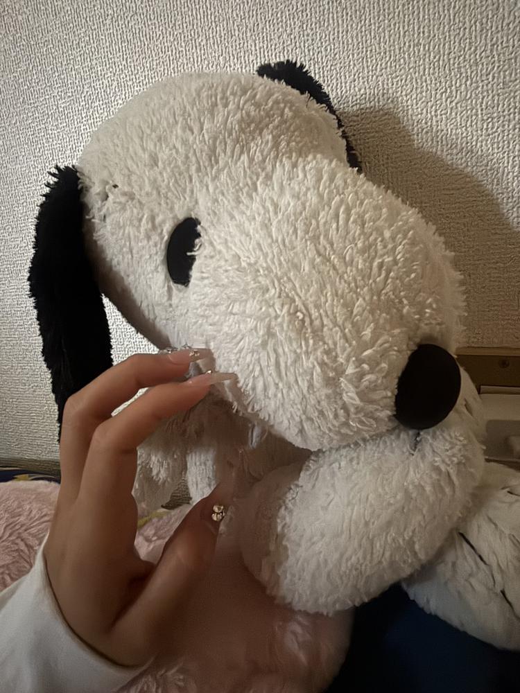 おはよう😊✨✨