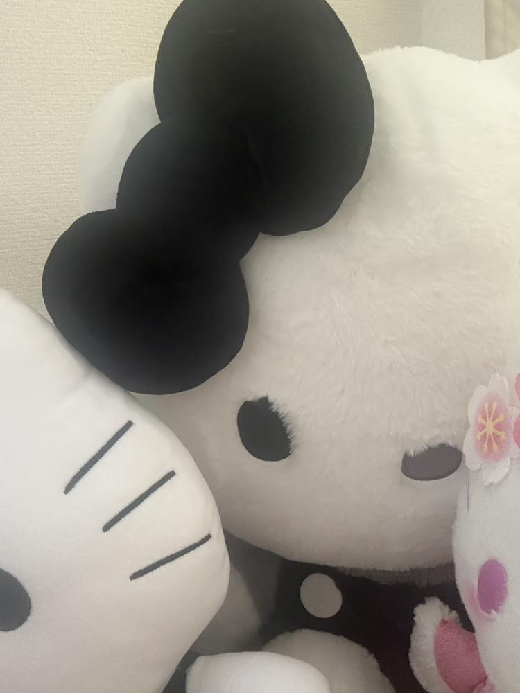 😿