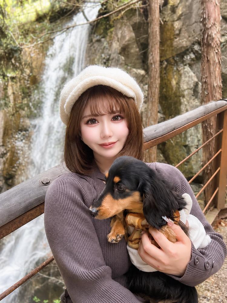 わんちゃん🐶