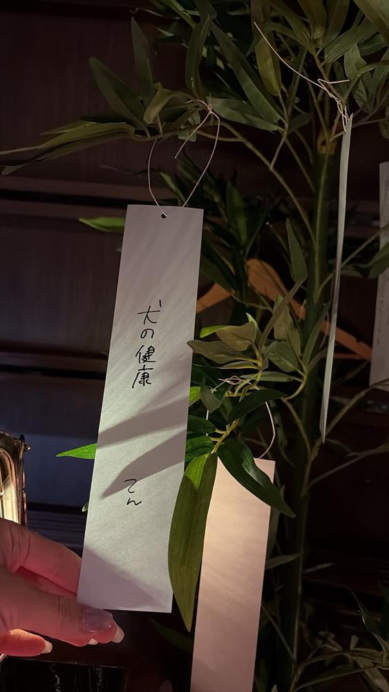 お願いごと