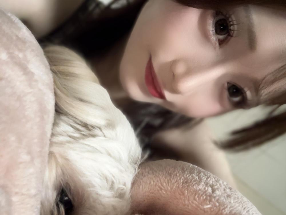 おやすみ😴