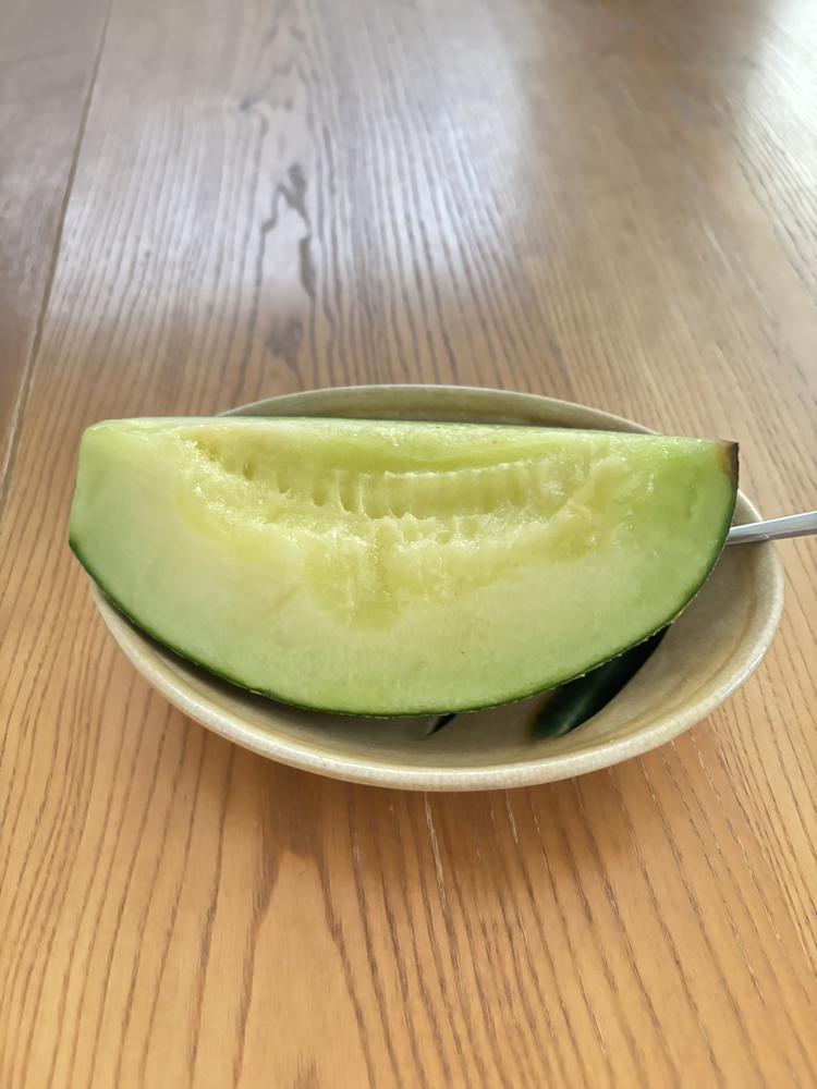 メロン🍈🍈