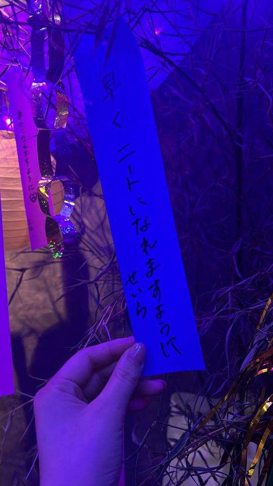 願い事なにした？、