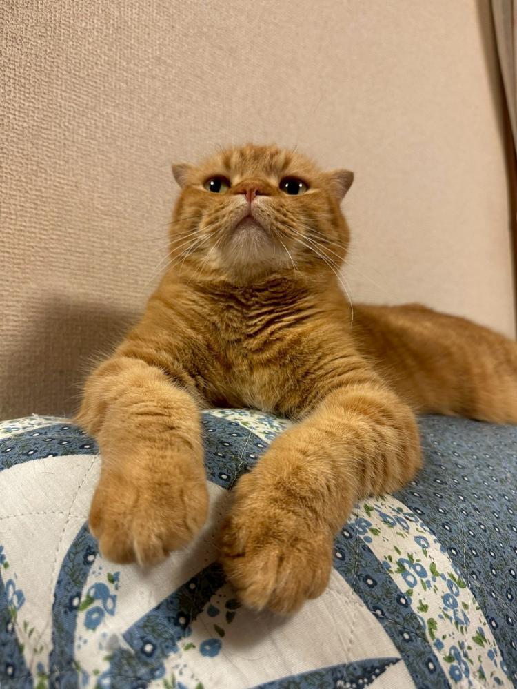 しゅっきん