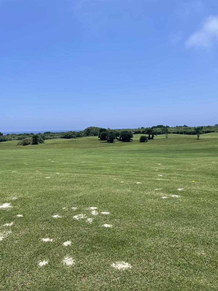 ⛳️