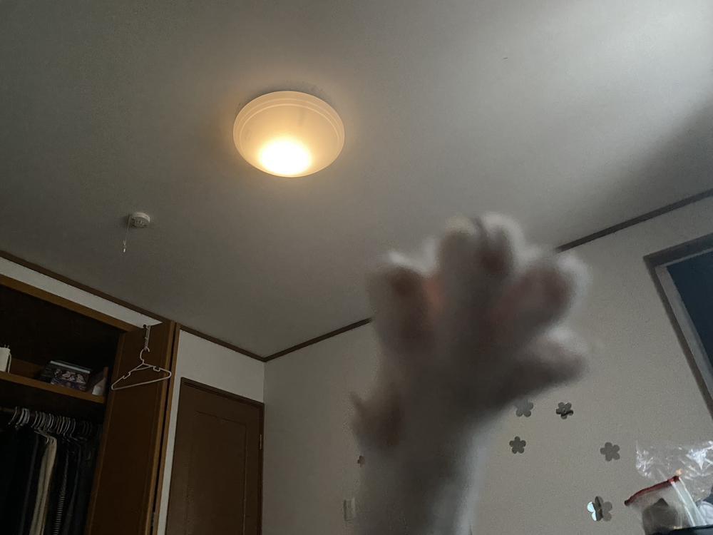出勤してます