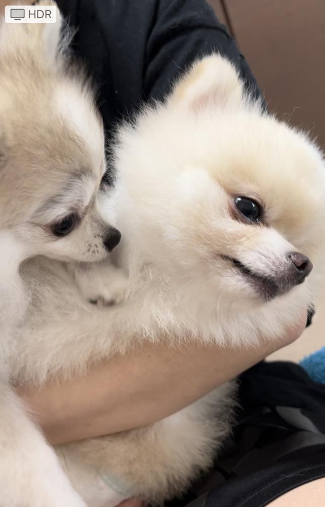 さ