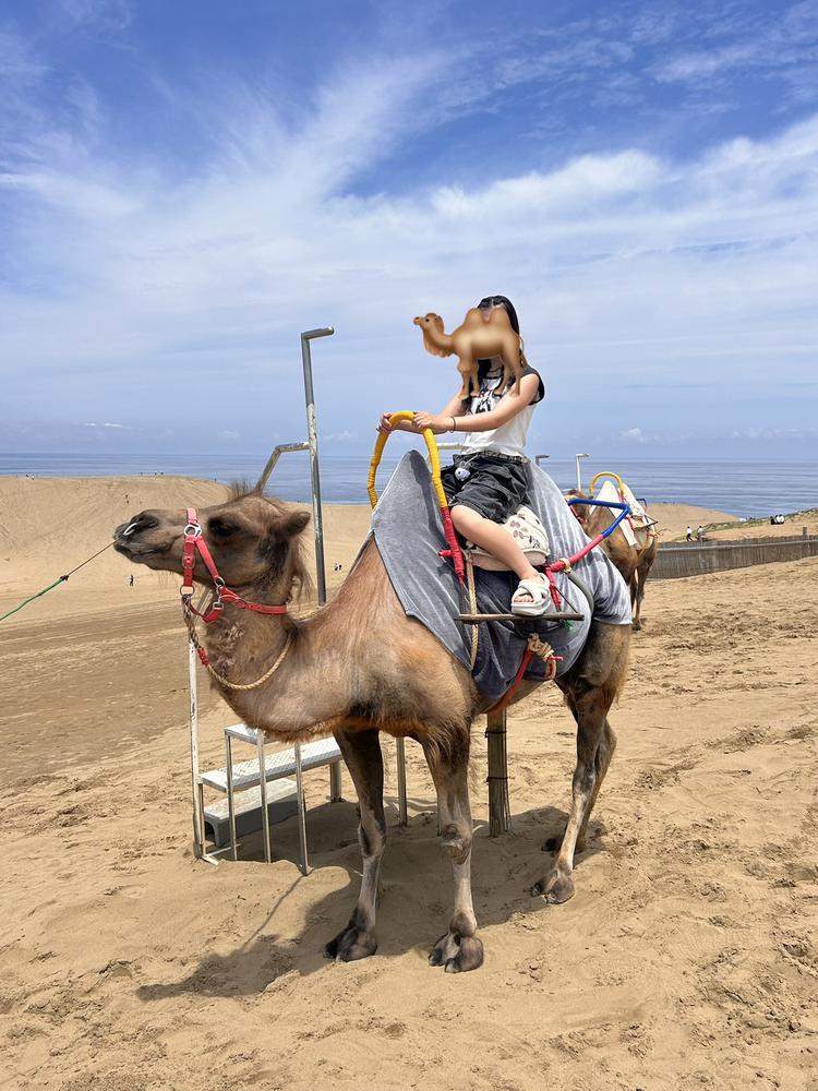 ラクダ🐫