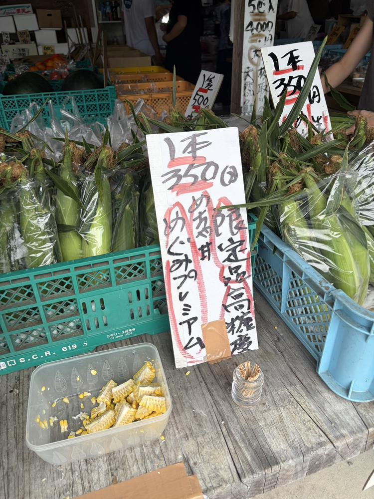 とうもろこし🌽