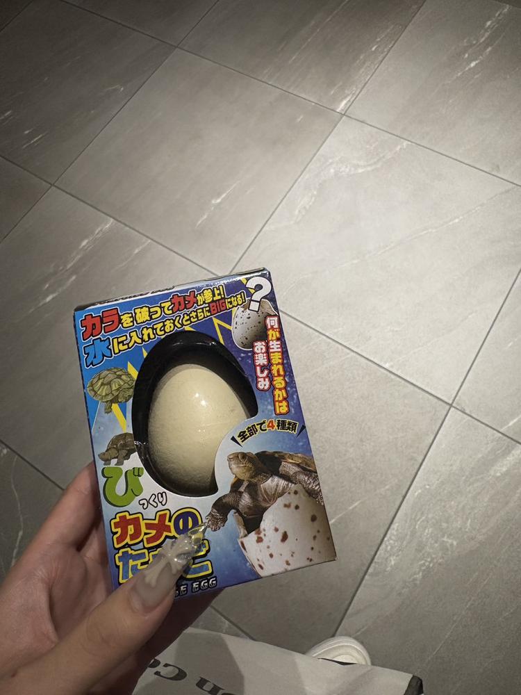 出勤なあり