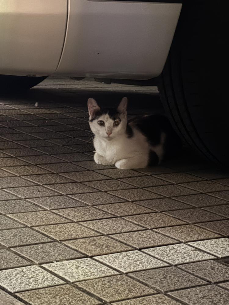 ひさしぶりに🥺