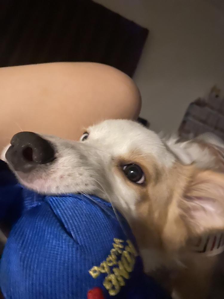😃