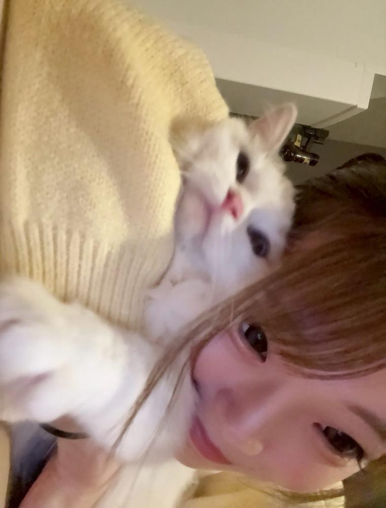出勤