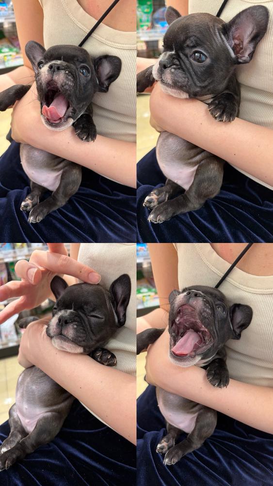 家族増えた💖