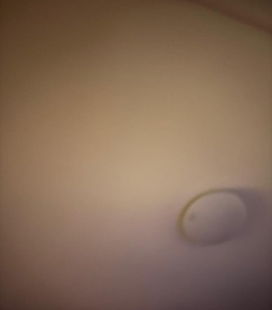 し