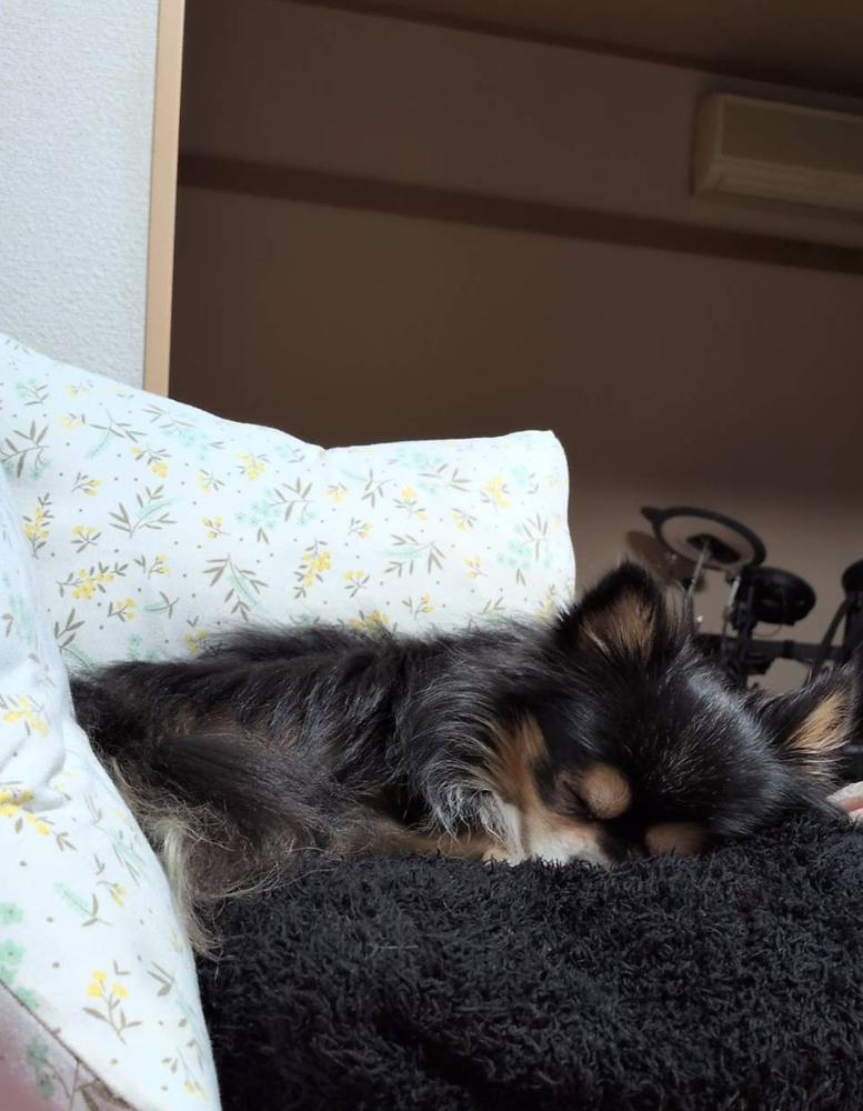 😴